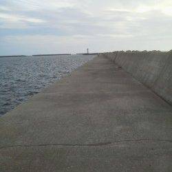 紀ノ川河口 アタリが少ない中貴重なタチウオ2本ゲット