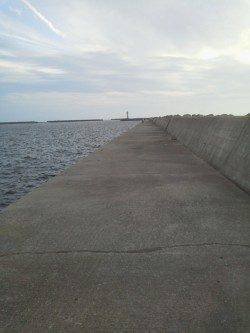 紀ノ川河口 アタリが少ない中貴重なタチウオ2本ゲット