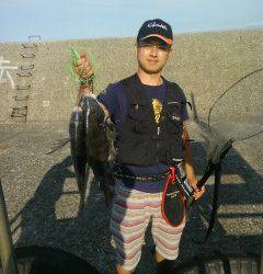 旧の赤灯台の落とし込みで良型チヌの釣果