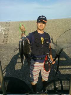 旧の赤灯台の落とし込みで良型チヌの釣果