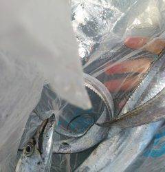 ワインドでタチウオGET！岸和田沖の北にて