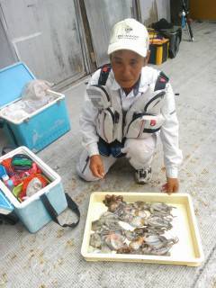 岸和田、旧の一文字でのタコ釣果