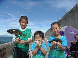 北港魚つり公園のお子様釣果〜アイゴ・グレ・スズメダイ