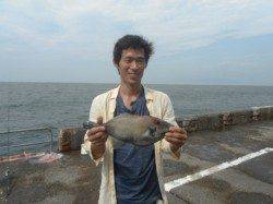 和歌山北港魚つり公園　ウマヅラハギ40cm！