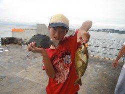 和歌山北港魚つり公園　グレ・アイゴ・アジの釣果