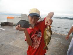 和歌山北港魚つり公園　グレ・アイゴ・アジの…