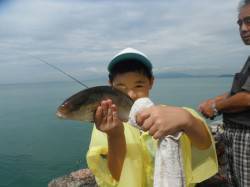 和歌山北港魚つり公園　お子様がシオ33cm…