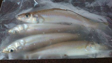 明神周辺で投げキス　16時頃から約1時間の…