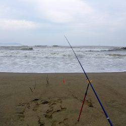 由良川河口周辺　濁りひどい中なんとかキス釣…