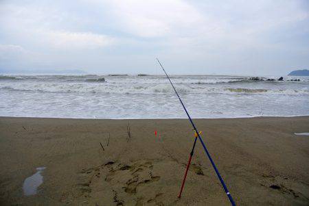 由良川河口周辺　濁りひどい中なんとかキス釣…