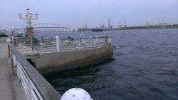 舞洲でタコを狙いましたが・・・ジグサビキでアジ