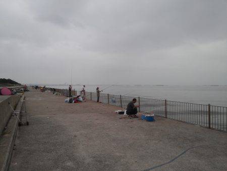 南芦屋浜サビキでアジなど〜エサなしでもバン…