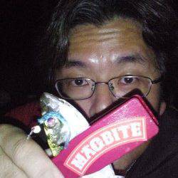 豆アジ豆サバをかわしてのアジング釣行