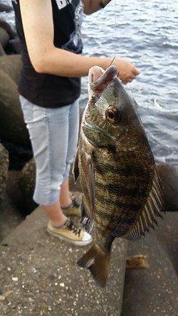 高砂埋立地周辺エビ撒きハネ釣り〜手のひらサイズのチヌ多数