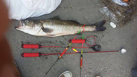 助松埠頭　エビ撒き＆フカセ釣りでスズキ＆ア…