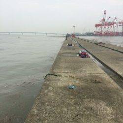 台風後の神戸沖堤にてツバス・サバ〜濁りと流木で厳しい状況でした