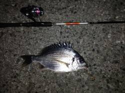 大阪南港周辺2〜3ヶ所まわりシャローな場所…