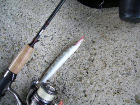 りんくうでジグサビキにカマスが入れ食い