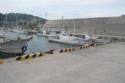 間人にてサビキ、ハゲ皮を使うとどんどん釣れました