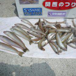 志筑とおのころアイランドにて投げキス釣行し…