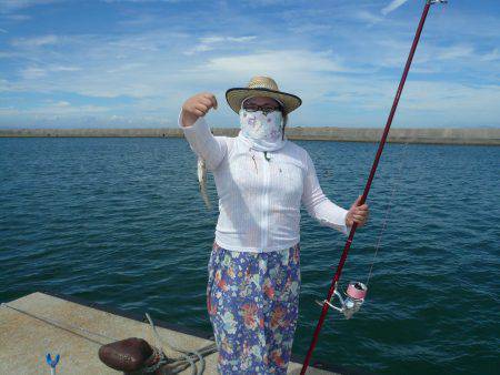 鳥飼漁港旧港と新港にて投げ釣り〜それぞれ1…