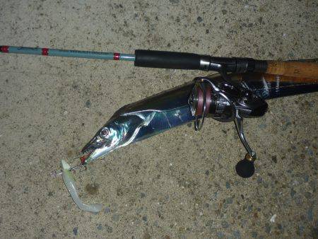 貝塚周辺タチウオワインド〜いきなり90cm…