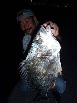 武庫川河口　岸壁SLKでキビレゲーム