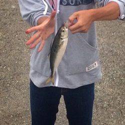 武庫川一文字でアジ・サバ　早朝は投げるたびにアタリあり