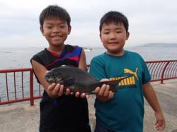 平磯海づり公園、サビキでグレ！