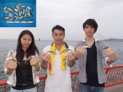 平磯海づり公園　美味しいサイズのアジ釣果
