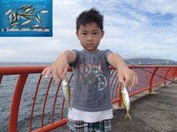キッズ釣果　平磯海づり公園、サビキでアジ