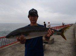 平磯海づり公園　表層でブリ80cmがヒット！