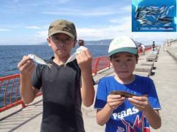 平磯海づり公園　サビキで食べごろサイズのア…
