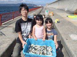 平磯海づり公園　サビキでアジ大漁180尾