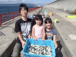 平磯海づり公園　サビキでアジ大漁180尾