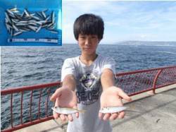 サビキのアジ好調キープ　平磯海づり公園