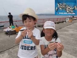 平磯海づり公園　サビキ釣りお子様も楽しめま…