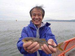 平磯海づり公園　サビキでシオをゲット