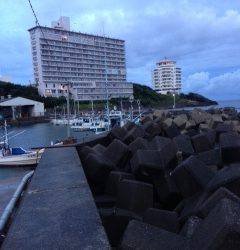 ライトゲームで南紀の漁港巡り　椿でガシラ2匹ゲット