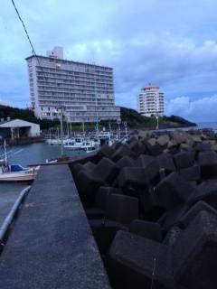 ライトゲームで南紀の漁港巡り　椿でガシラ2匹ゲット