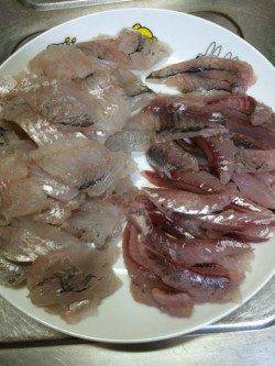 香住東港で初めてのアジング　アジとセイゴをゲット