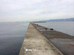 武庫川一文字　ライトジギングでサバ多数、本命ツバス1匹