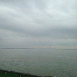 ツバスを釣りに武庫川一文字へ、ノマセでキビレも！