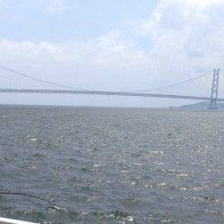 大蔵海岸で豆アジ〜メタルジグ表層付近で釣れました