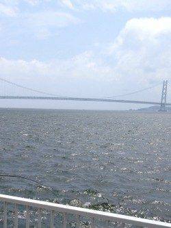 大蔵海岸で豆アジ〜メタルジグ表層付近で釣れました