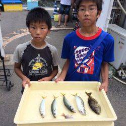 マリーナシティ海釣り公園　アイゴ＆アジの釣果