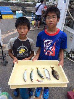 マリーナシティ海釣り公園　アイゴ＆アジの釣果