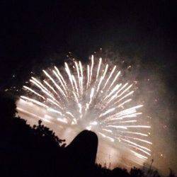 谷川漁港　アオリイカの新子調査釣行