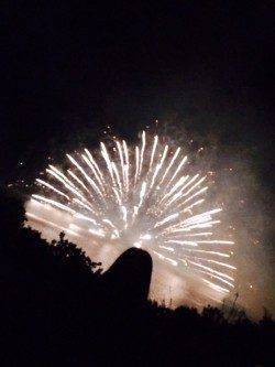 谷川漁港　アオリイカの新子調査釣行