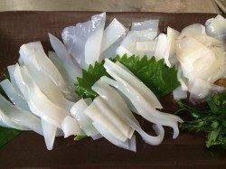 新浜漁港でエギング　小アオリが沢山いました